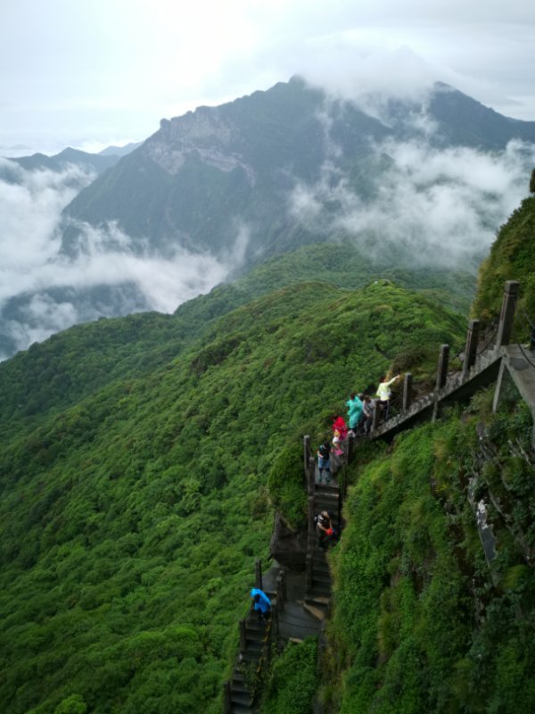 微信图片_201906101222022