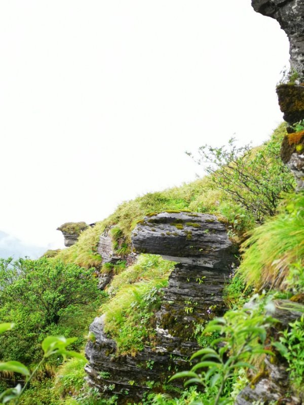 微信图片_201906101222023