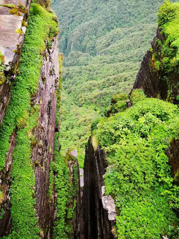 微信图片_201906101222024