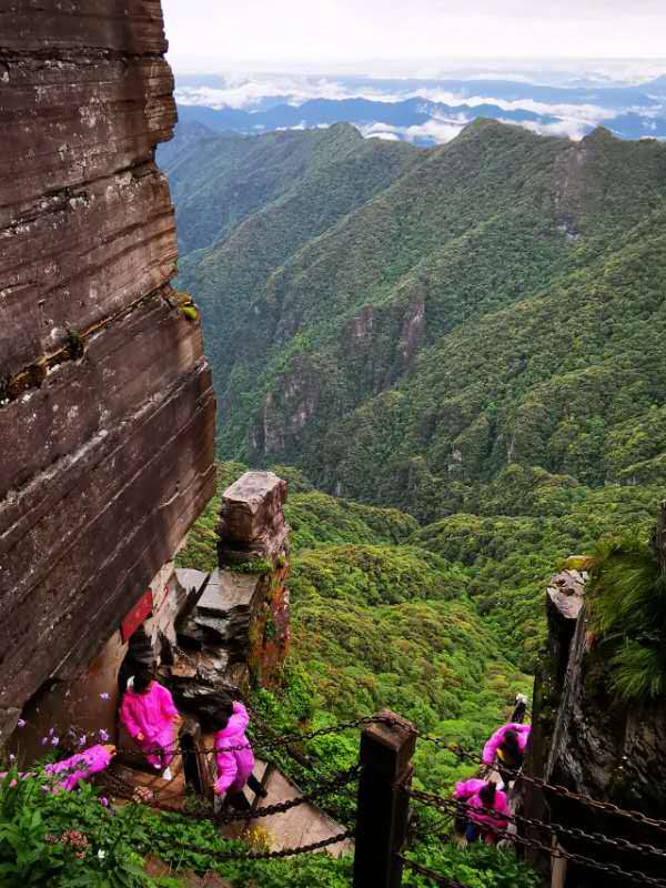 微信图片_201906101222025