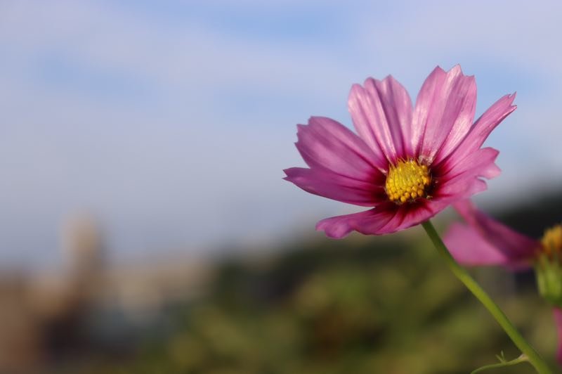 微信图片_201907011014004