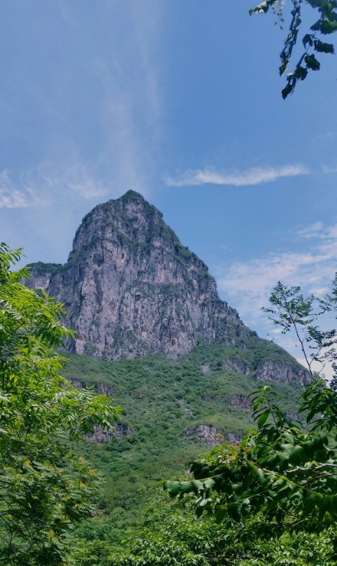 微信图片_201907011015535