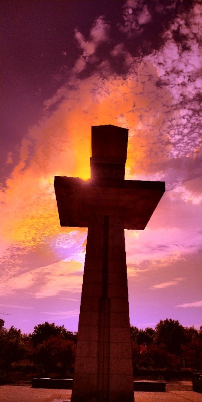 微信图片_201907011015537