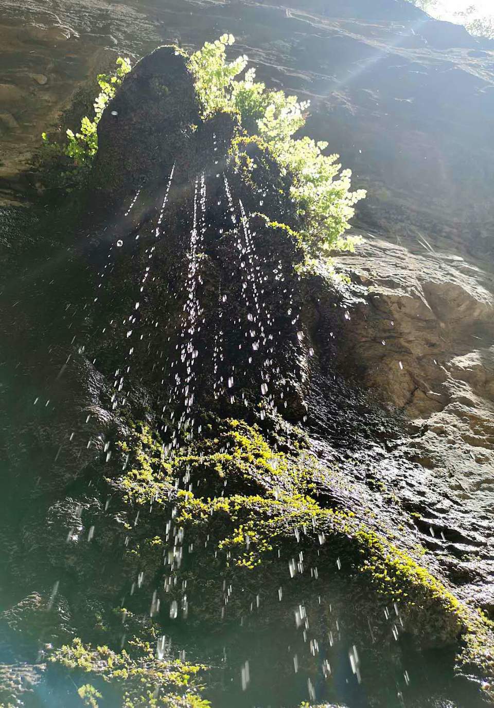 微信图片_201907011017071