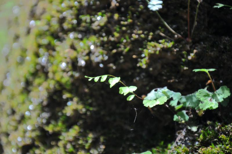 微信图片_20190703134754