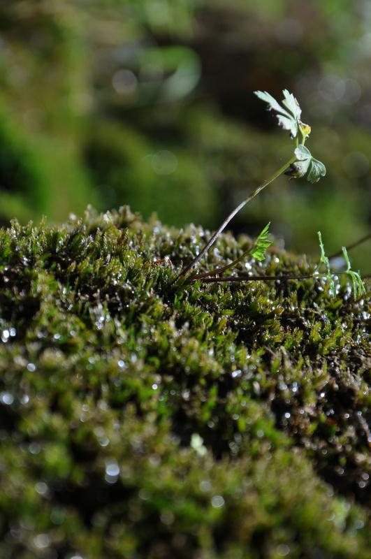 微信图片_201907031347541