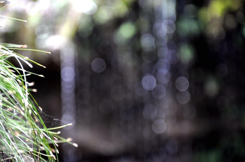 微信图片_201907031347542