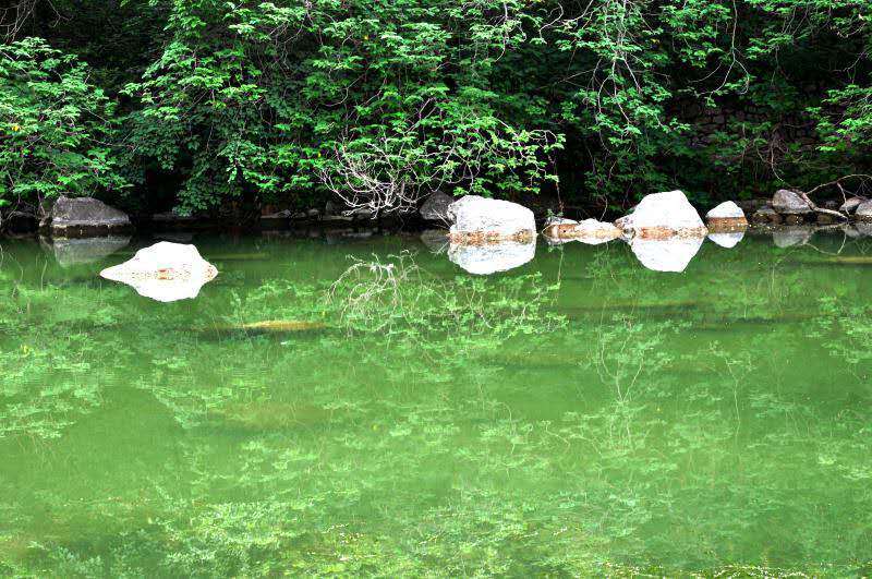 微信图片_201907031349021