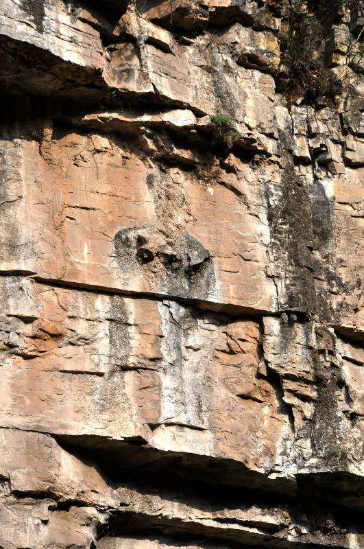 微信图片_201907031349024