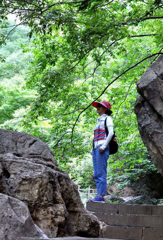 微信图片_201907031349025