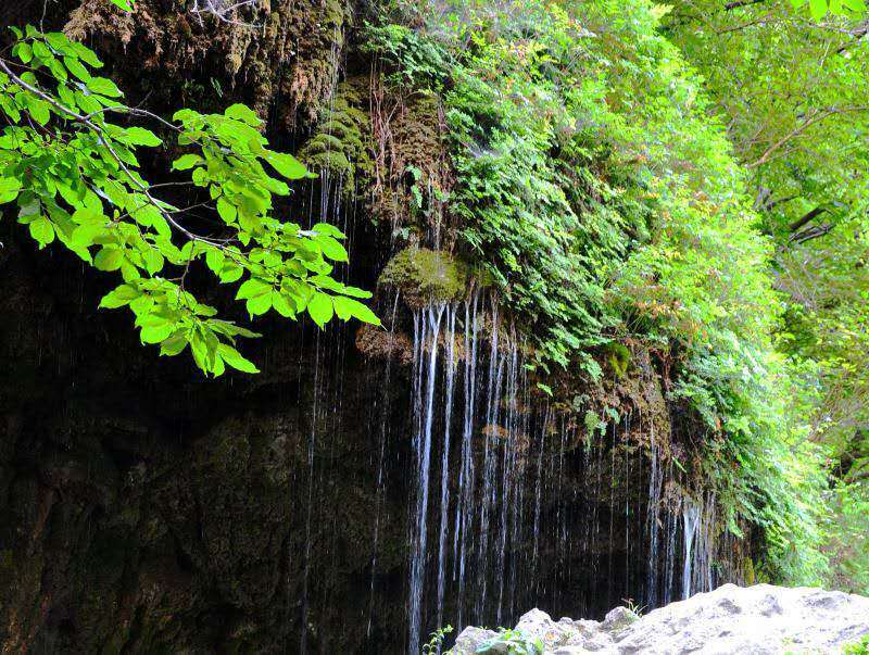 微信图片_201907031349026