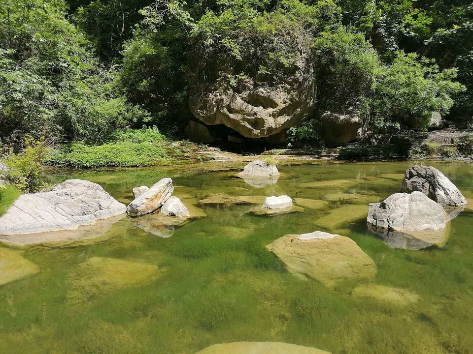 微信图片_201907031349291