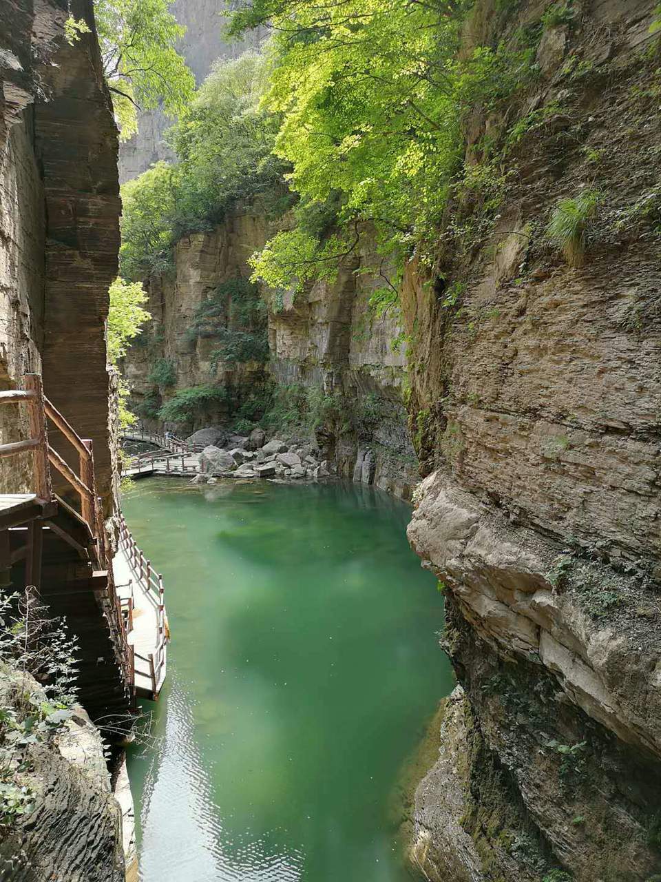 微信图片_201907031349294