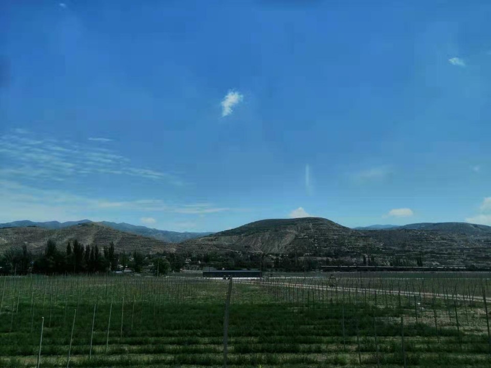 微信图片_201907221244181