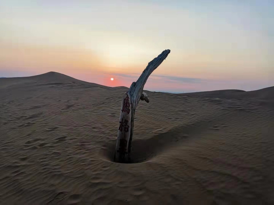 微信图片_201907221244183