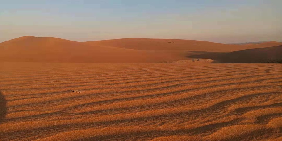 微信图片_201907221244186