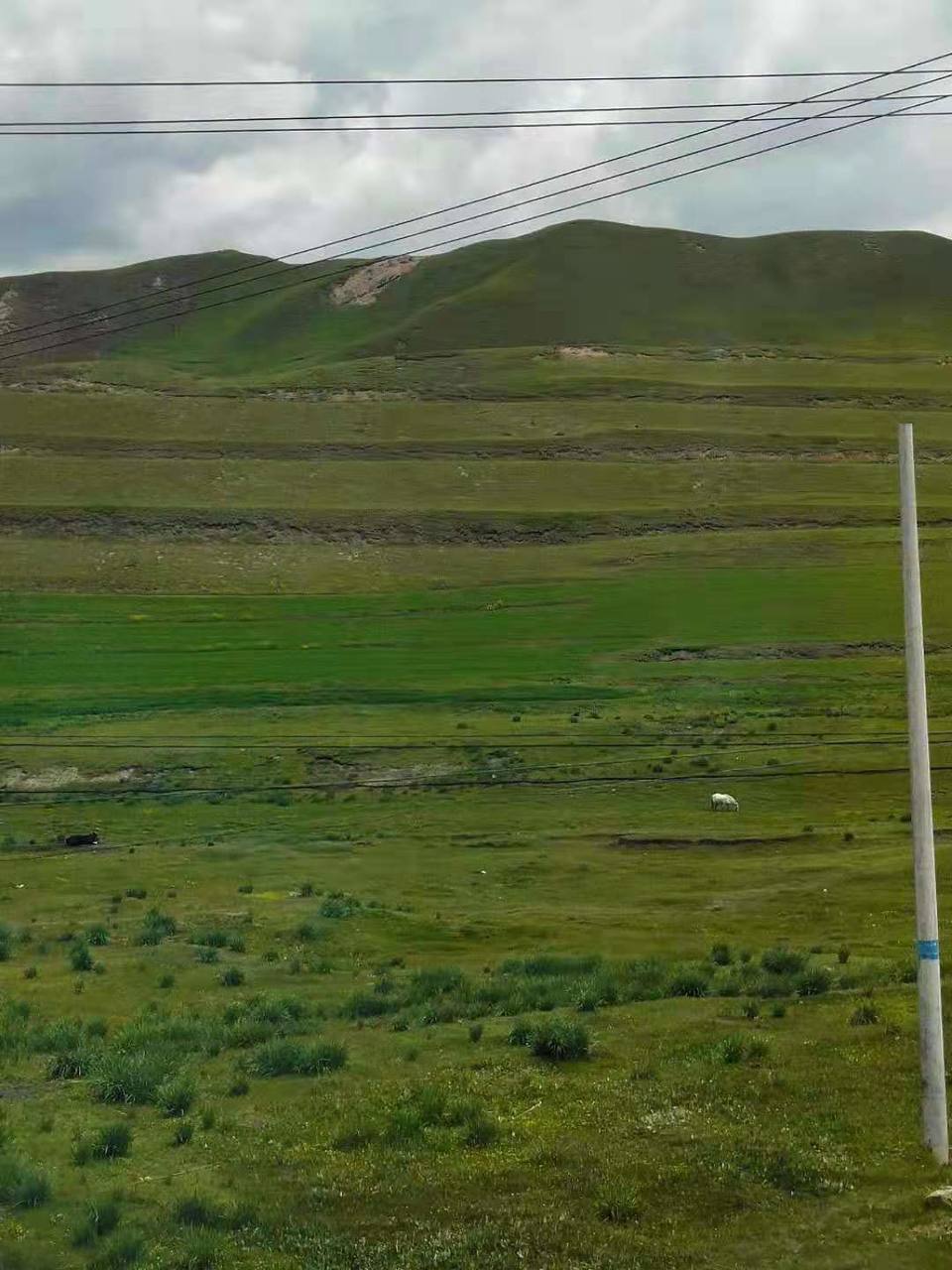 微信图片_201907221247331