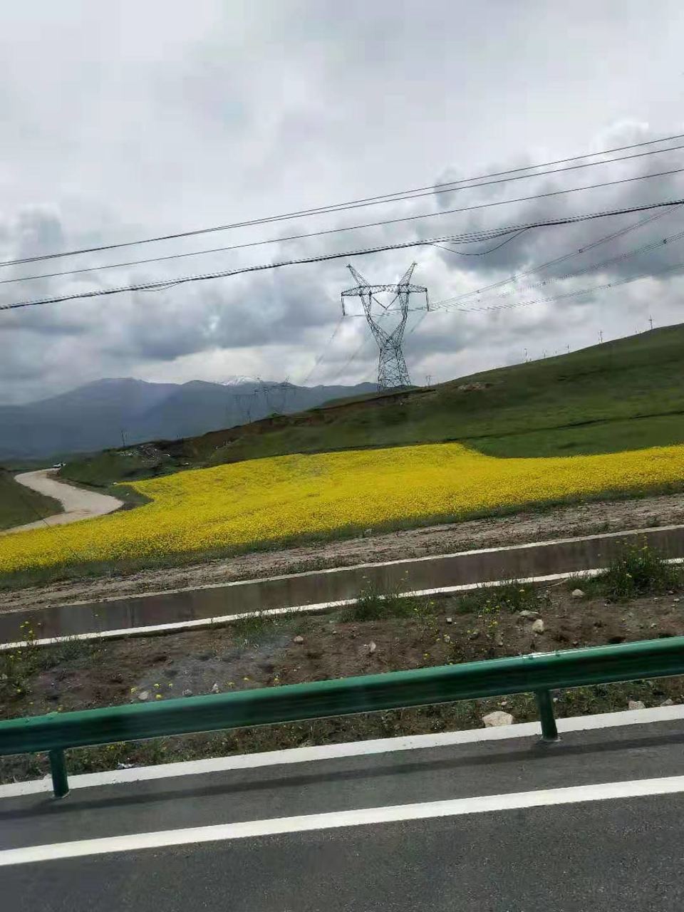 微信图片_201907221247332