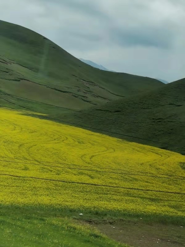 微信图片_201907221247334