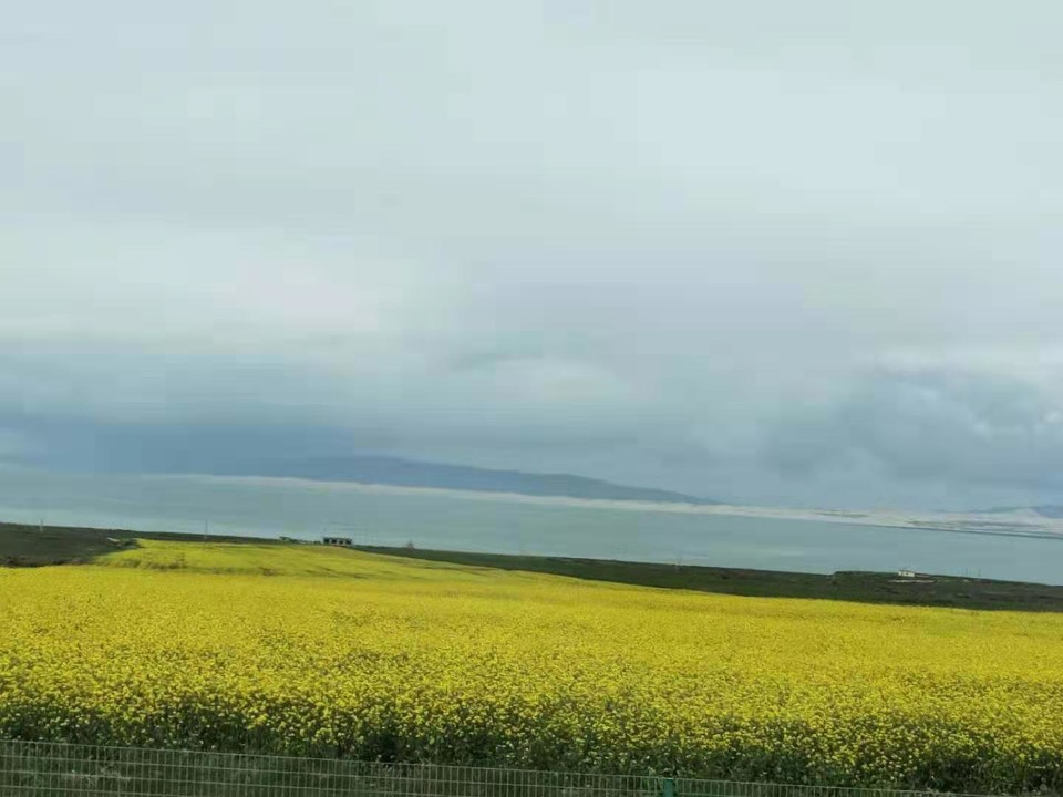 微信图片_201907221320512