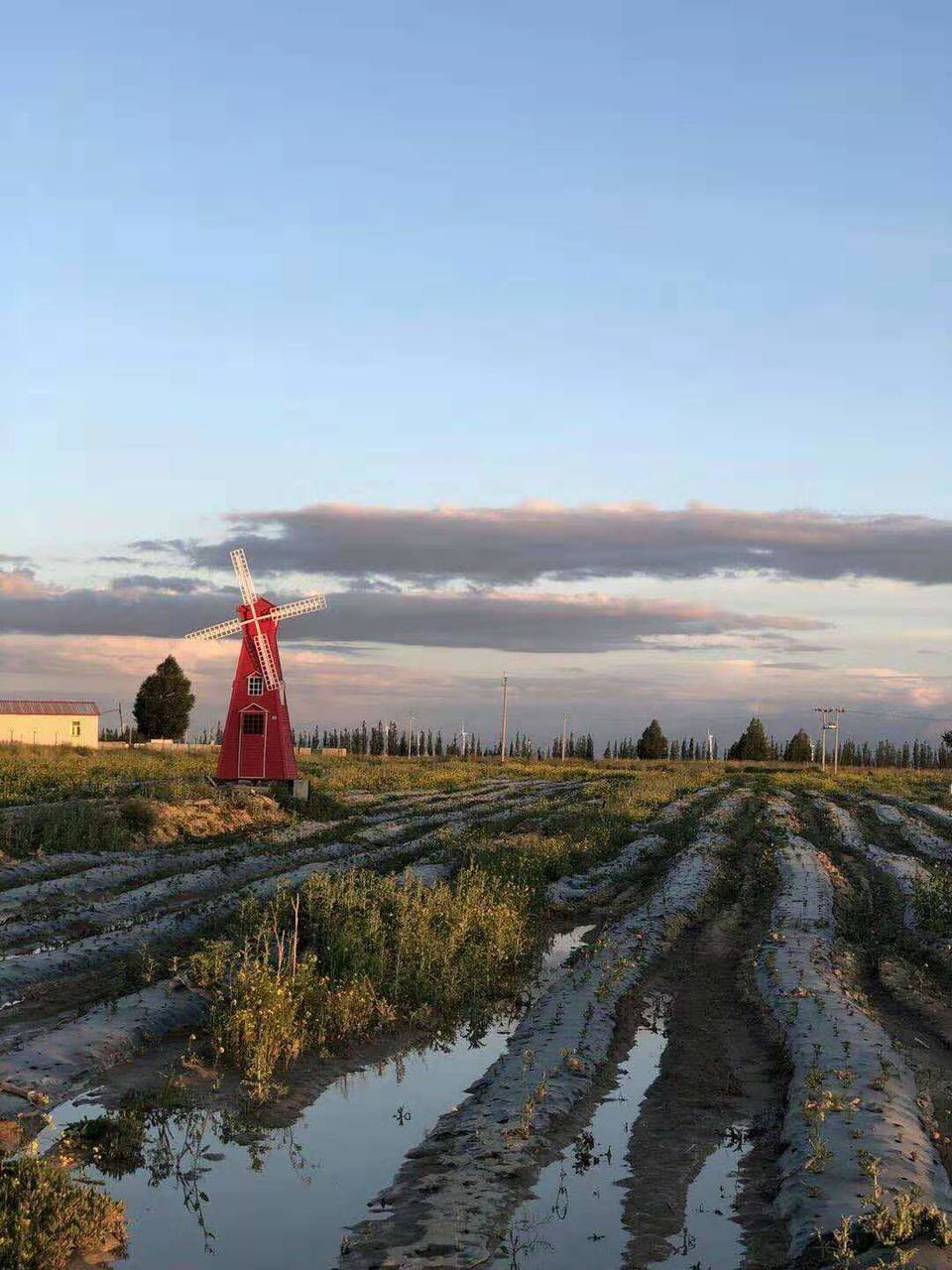 微信图片_201907221344272