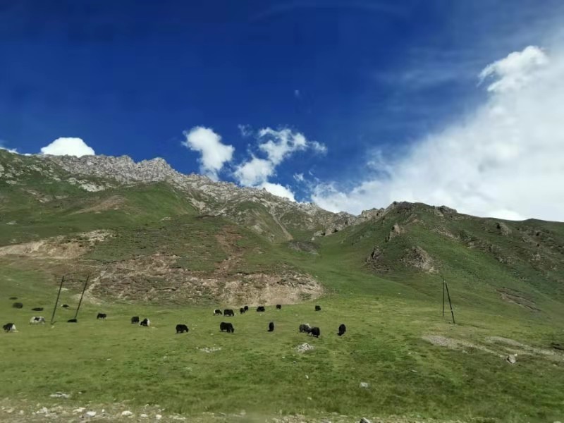 微信图片_201907221352051