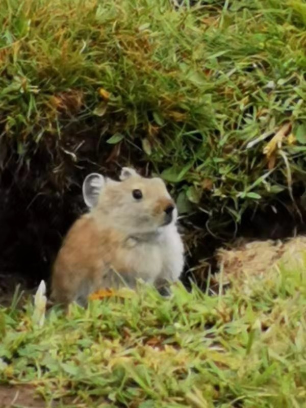 微信图片_201907221352055