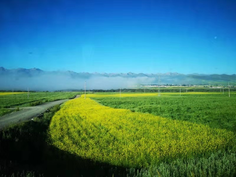 微信图片_201907221354545