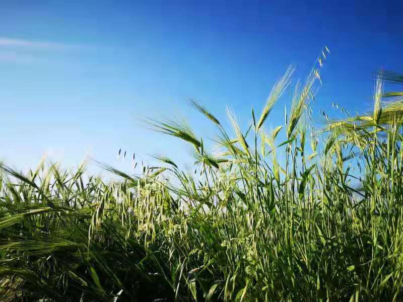 微信图片_201907221356242