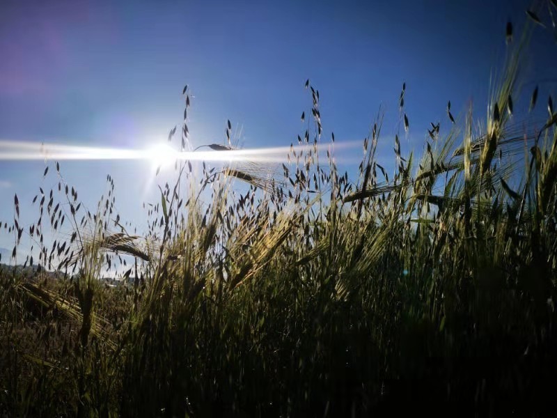 微信图片_201907221356243