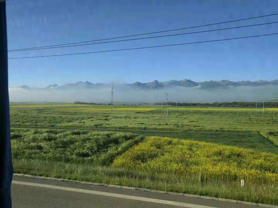 微信图片_201907221356471