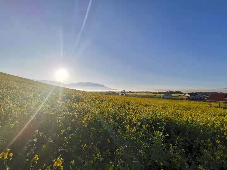 微信图片_201907221356475