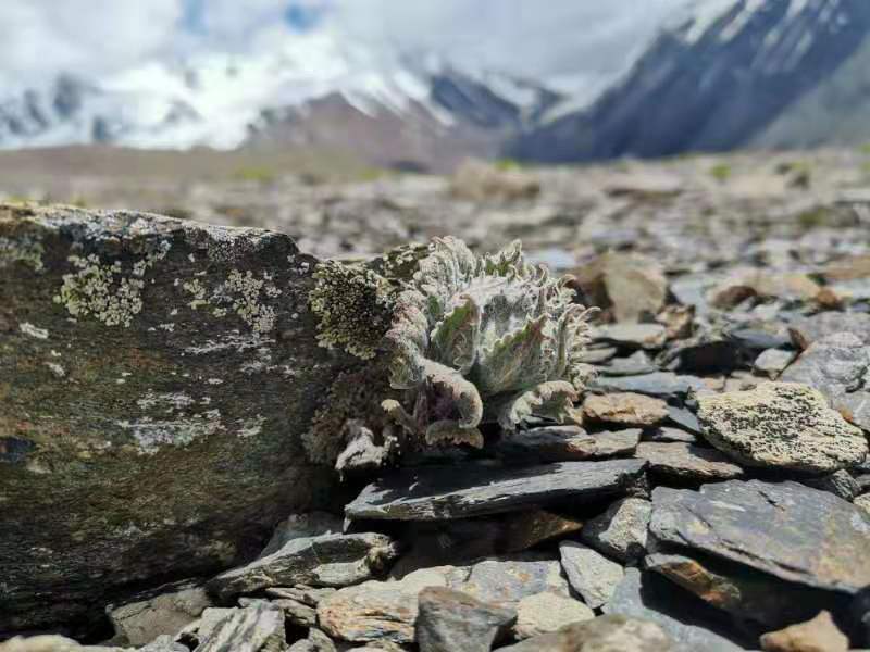 微信图片_201907221357496