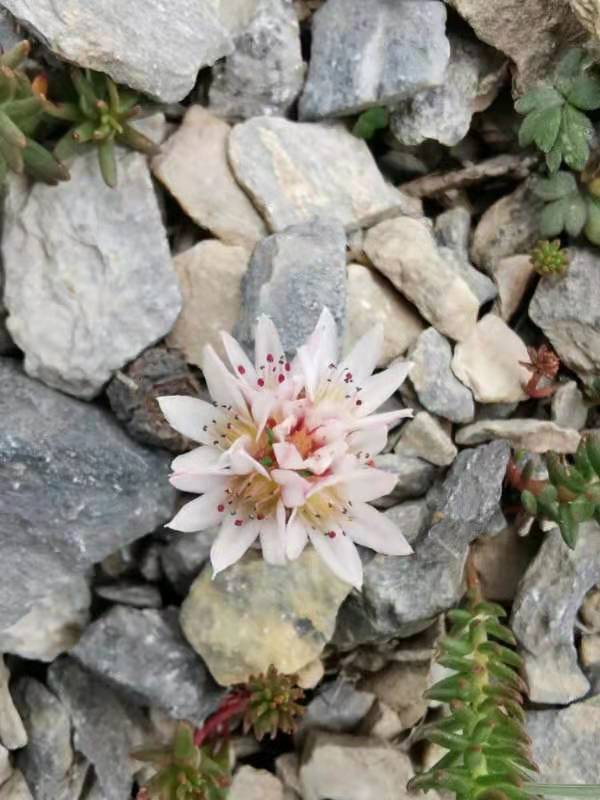 微信图片_201907221358414