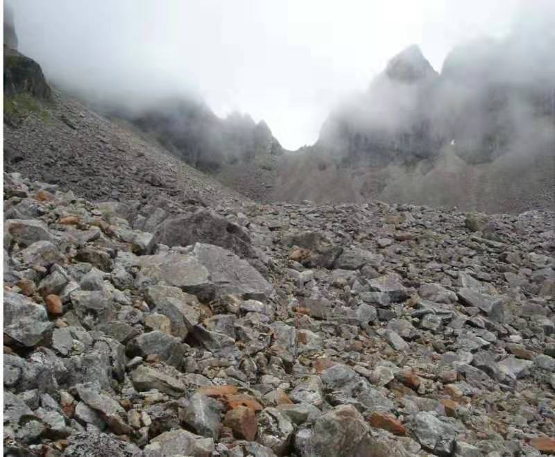 微信图片_201907221358415