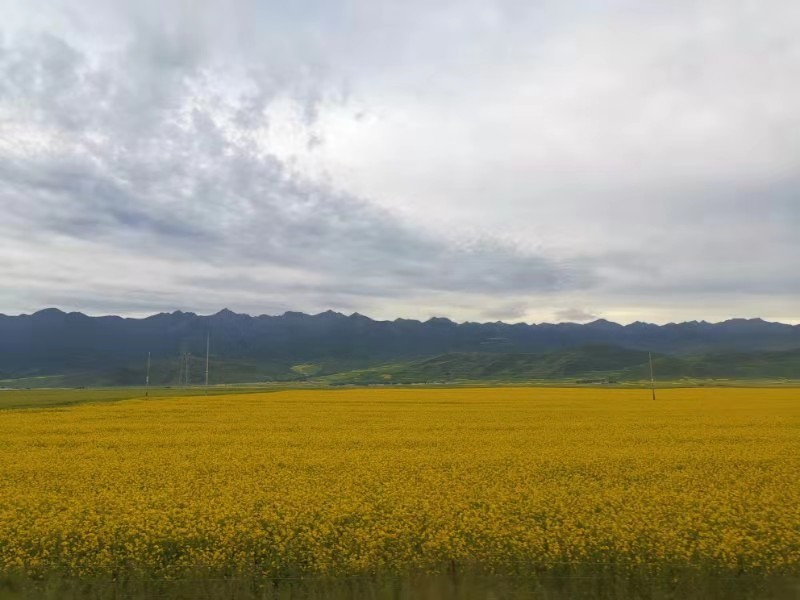 微信图片_201907221358416