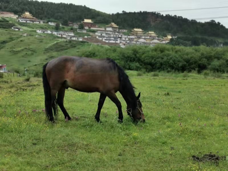 微信图片_201907171048195