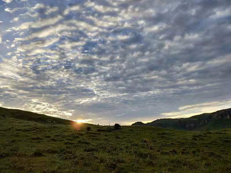 微信图片_201907171050043