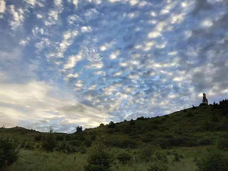 微信图片_201907171050045