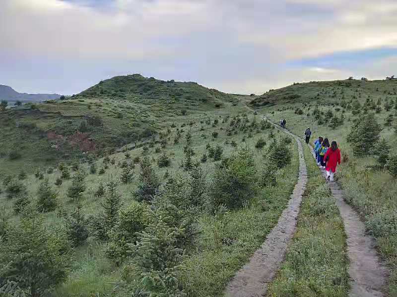 微信图片_201907171050046