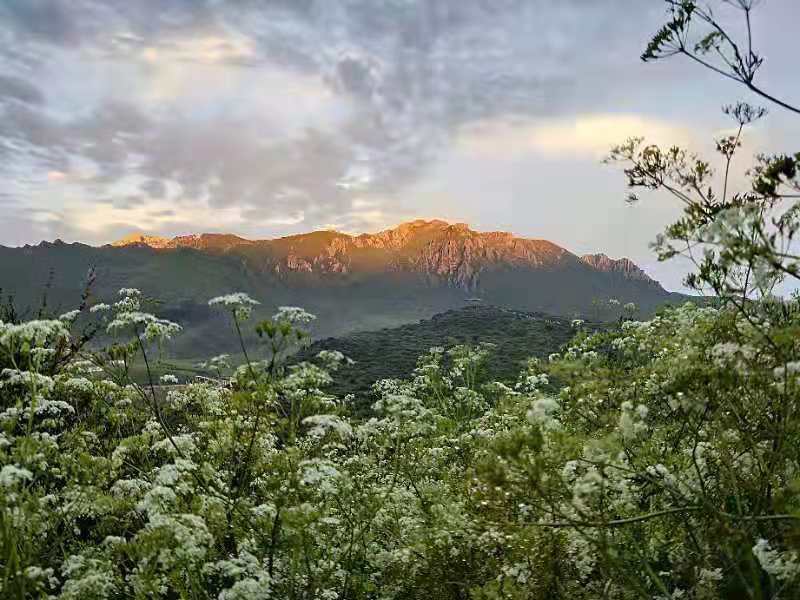 微信图片_201907171050047