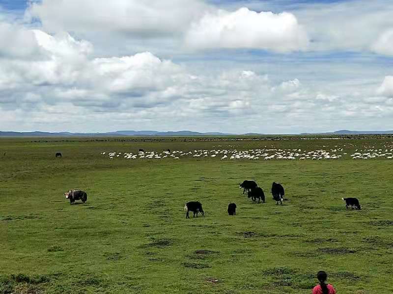 微信图片_201907171058194