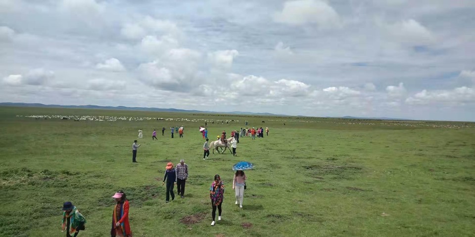 微信图片_201907171059011