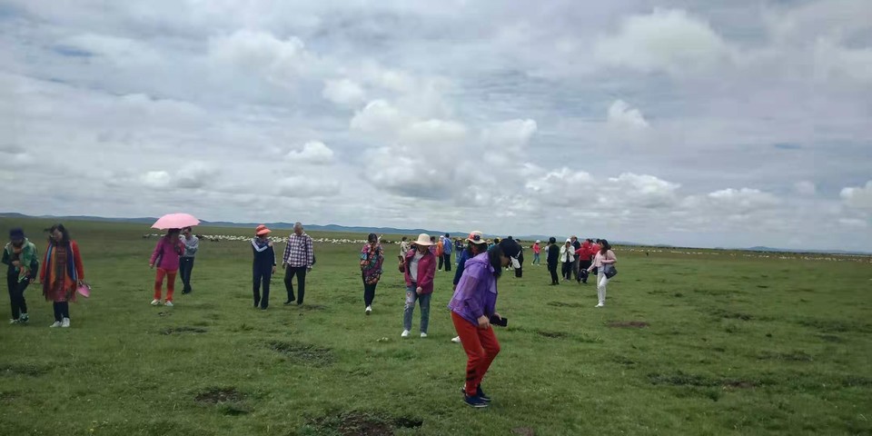 微信图片_201907171059012