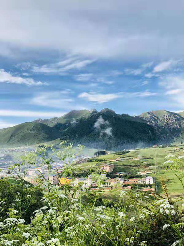 微信图片_201907171100433