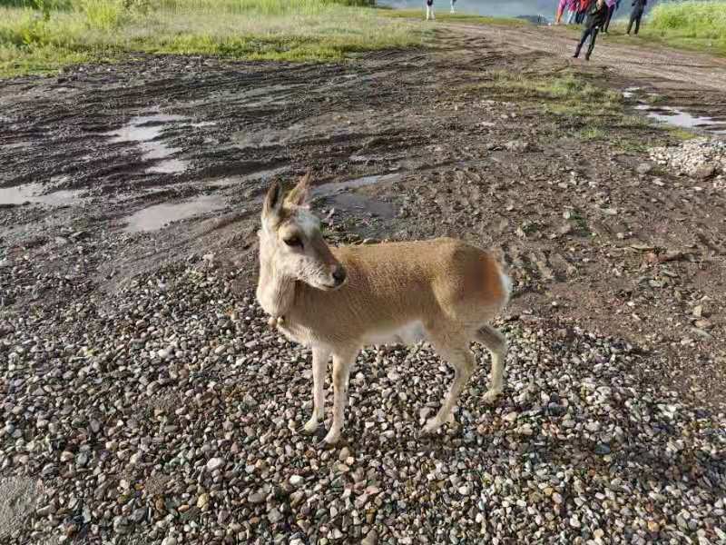 微信图片_201907171106061