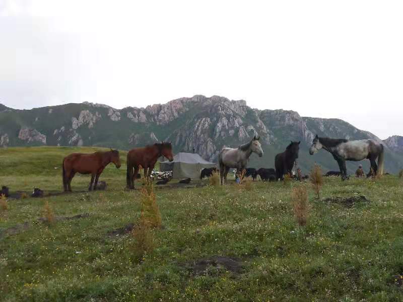 微信图片_201907171106065