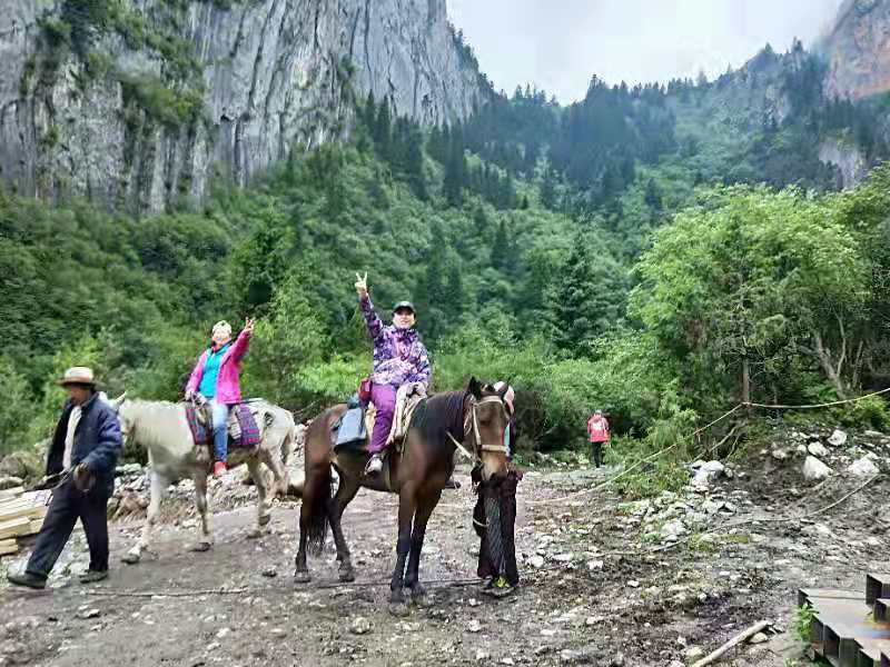 微信图片_201907191113023