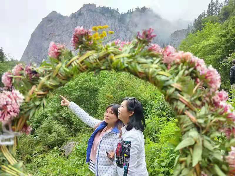 微信图片_201907191113026