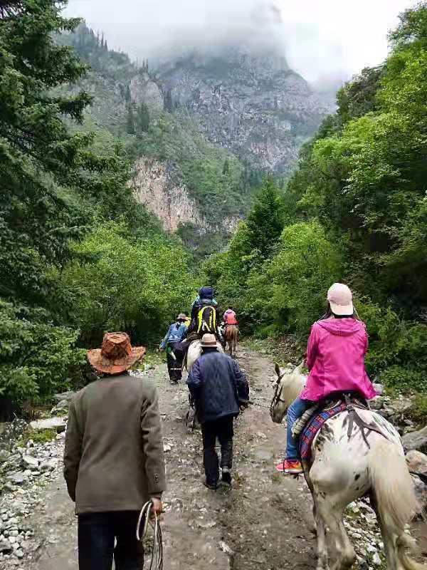 微信图片_201907231543333